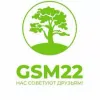 GSM22