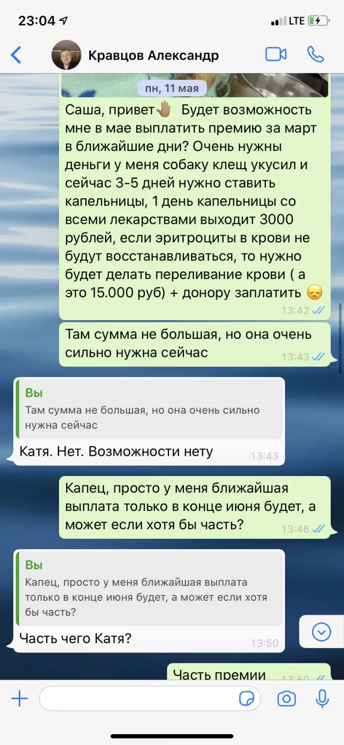 Ип Черныш Д.А