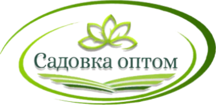 И.П Ионцева Садовка Оптом