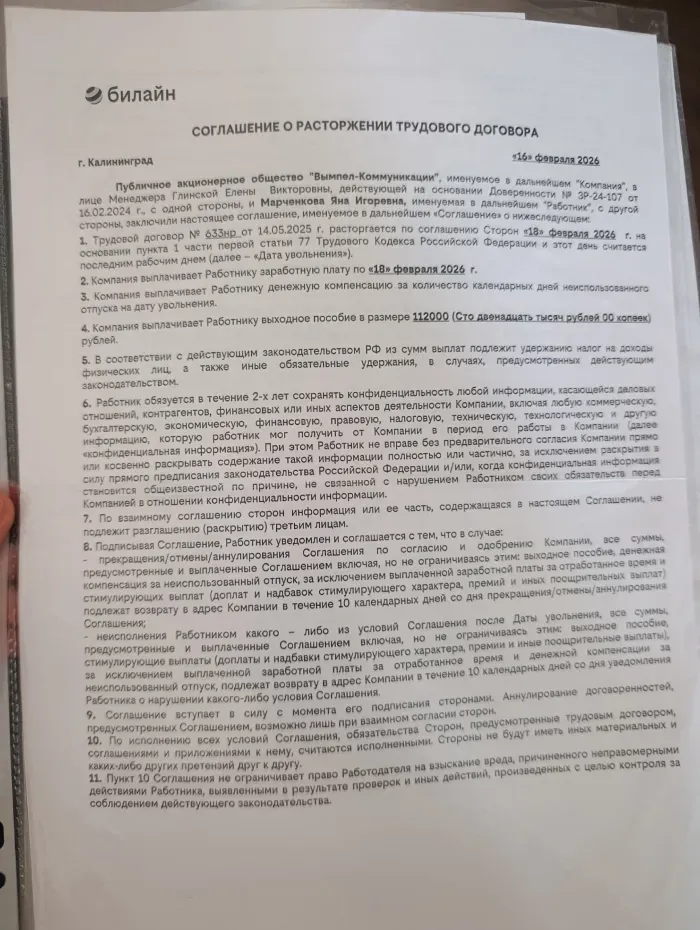 Билайн