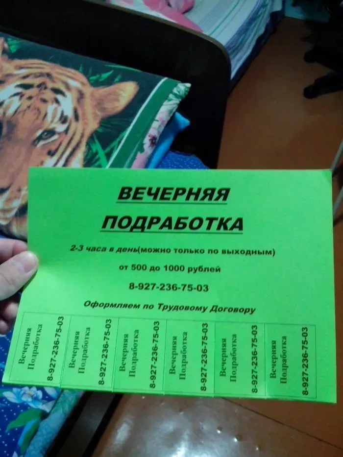 Эксперт